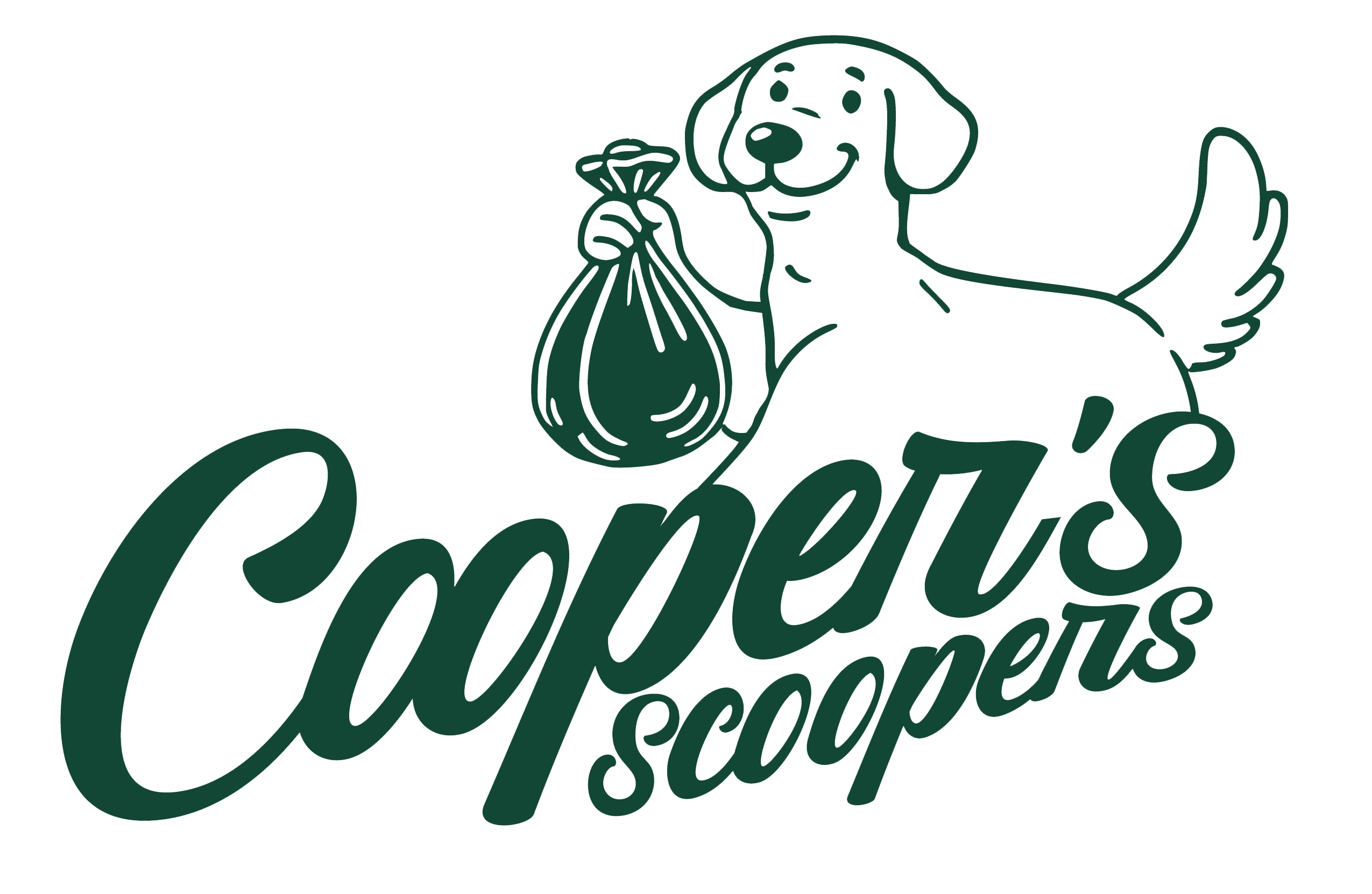 CS New Logo Transparent