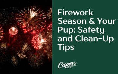 Firework Season & Your Pup: Safety and Clean-Up Tips