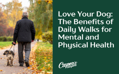 Love Your Dog: The Benefits of Daily Walks for Mental and Physical Health