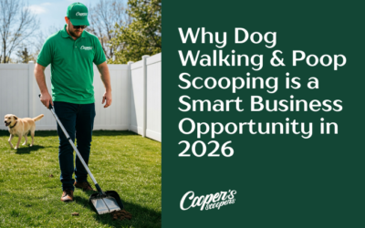 Why Dog Walking & Poop Scooping is a Smart Business Opportunity in 2026