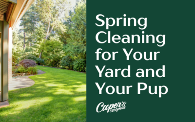 Spring Cleaning for Your Yard and Your Pup