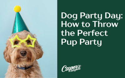Dog Party Day: How to Throw the Perfect Pup Party
