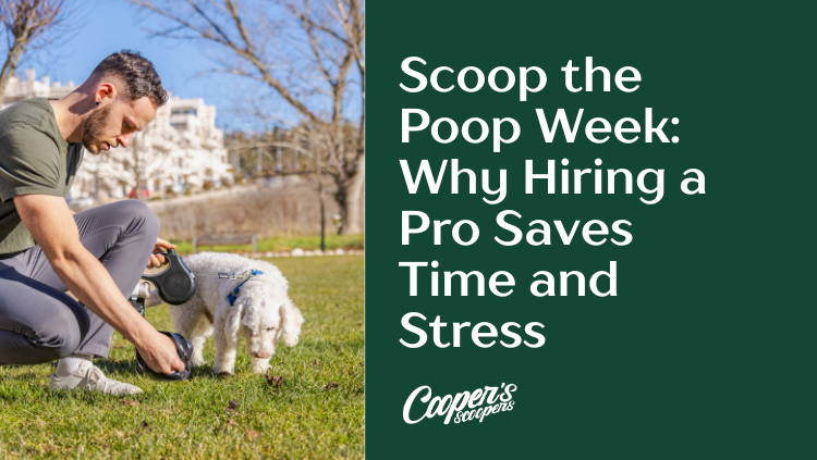 Scoop the Poop Week: Why Hiring a Pro Saves Time and Stress