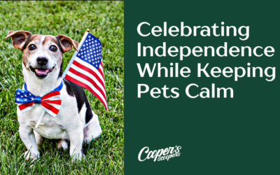 Celebrating Independence While Keeping Pets Calm